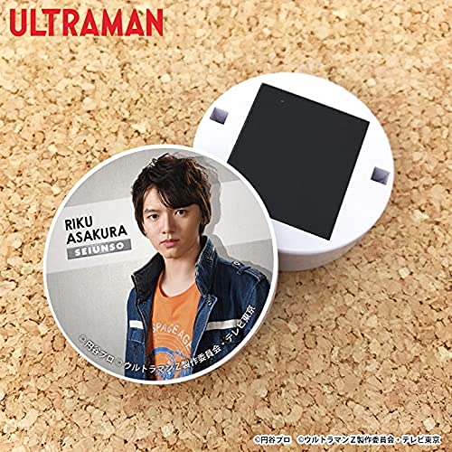 Amazon.co.jp: 朝倉リク マグネットクリップ : 文房具・オフィス用品